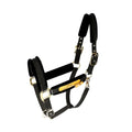 Black padded horse halter with gold hardware on a white background.