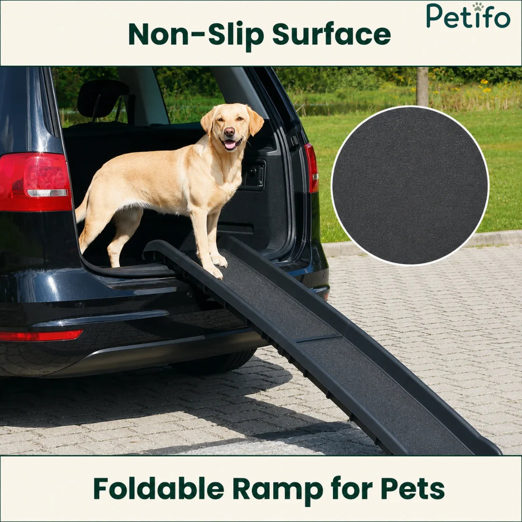 Golden Retriever walking on a portable pet car ramp with a secure, non-slip surface.
