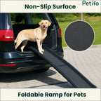 Golden Retriever walking on a portable pet car ramp with a secure, non-slip surface.