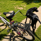 Golden retriever outdoors using the Petifo hands-free bicycle dog leash.