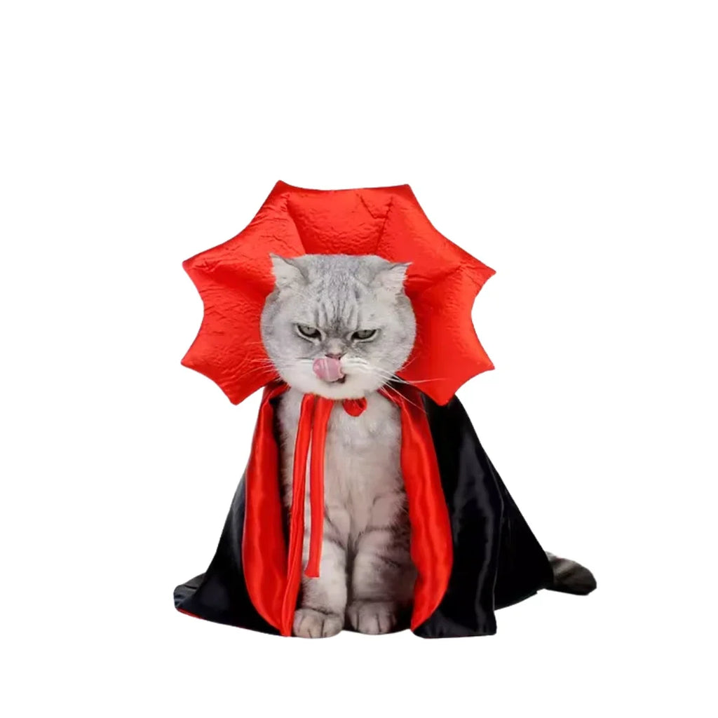  A gray cat licking its nose while wearing a Petifo black and red vampire costume with a high collar against a white background.