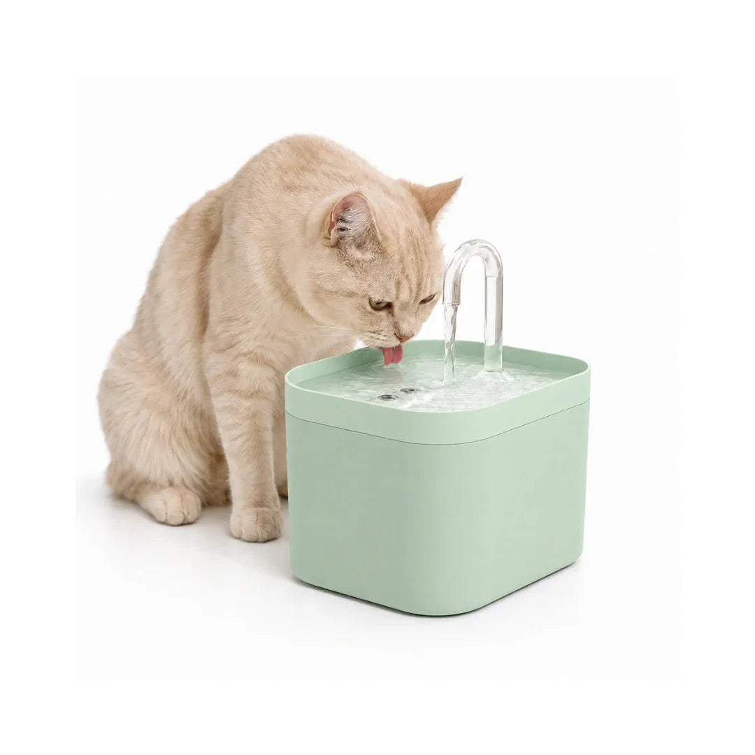 Green Petifo automatic cat water fountain demonstrated with a cat drinking from the running water stream.