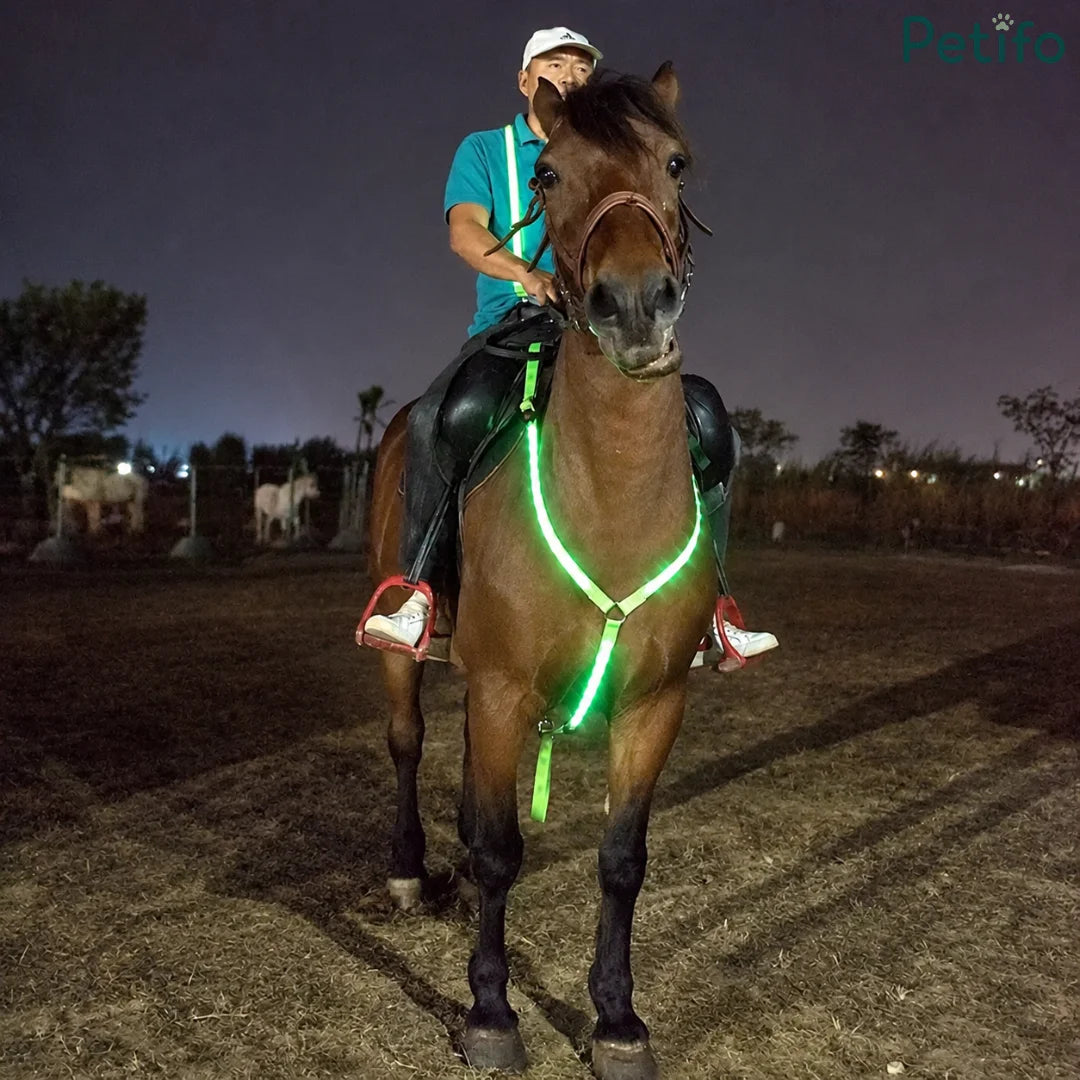 Equestrian rider on a brown horse equipped with a green LED breastplate at night.