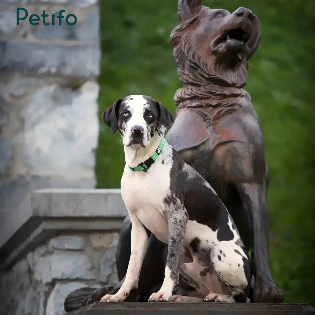 A spotted dog wearing a green collar, sitting next to a dark dog statue in an outdoor setting.