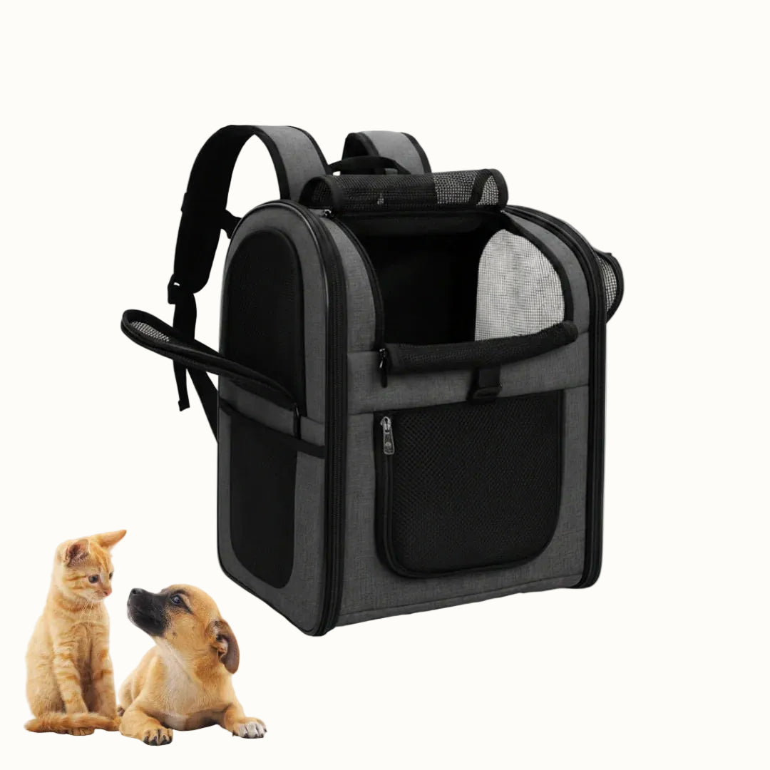 Grey mesh pet travel backpack with a front pocket, accompanied by a small kitten and puppy.