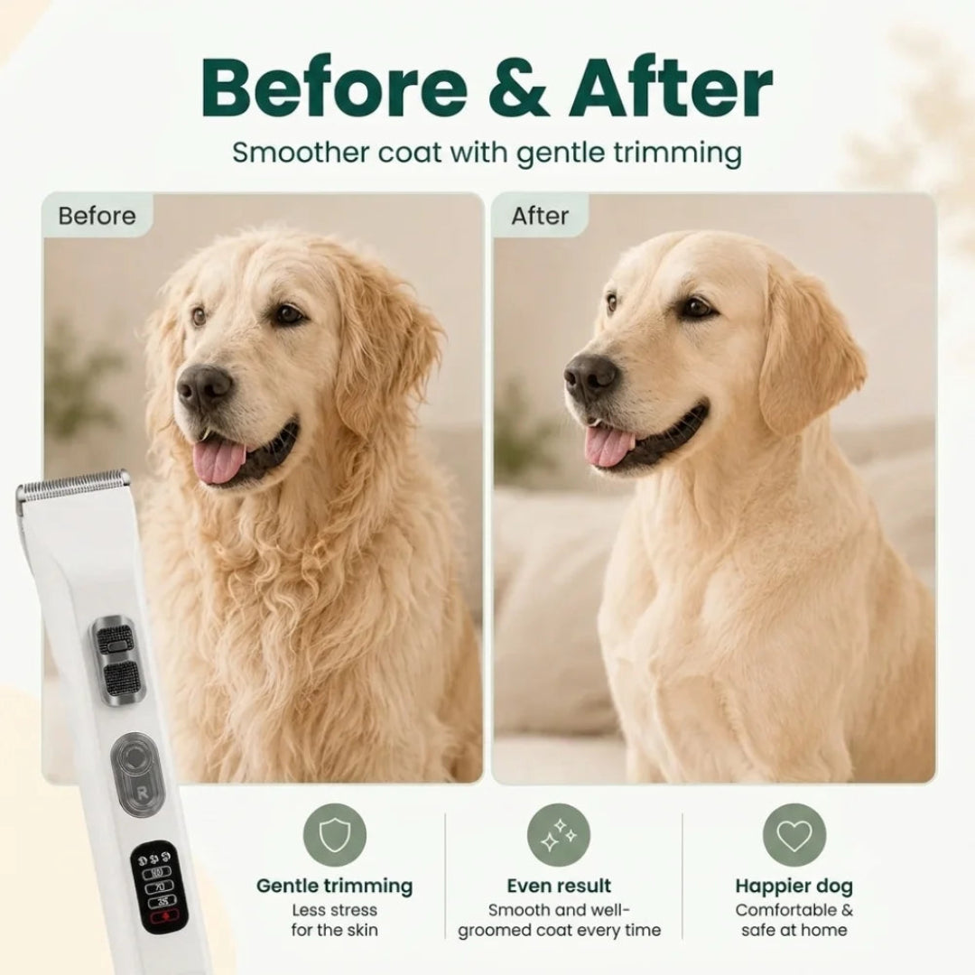 Before-and-after grooming results on a dog using the pet clipper.