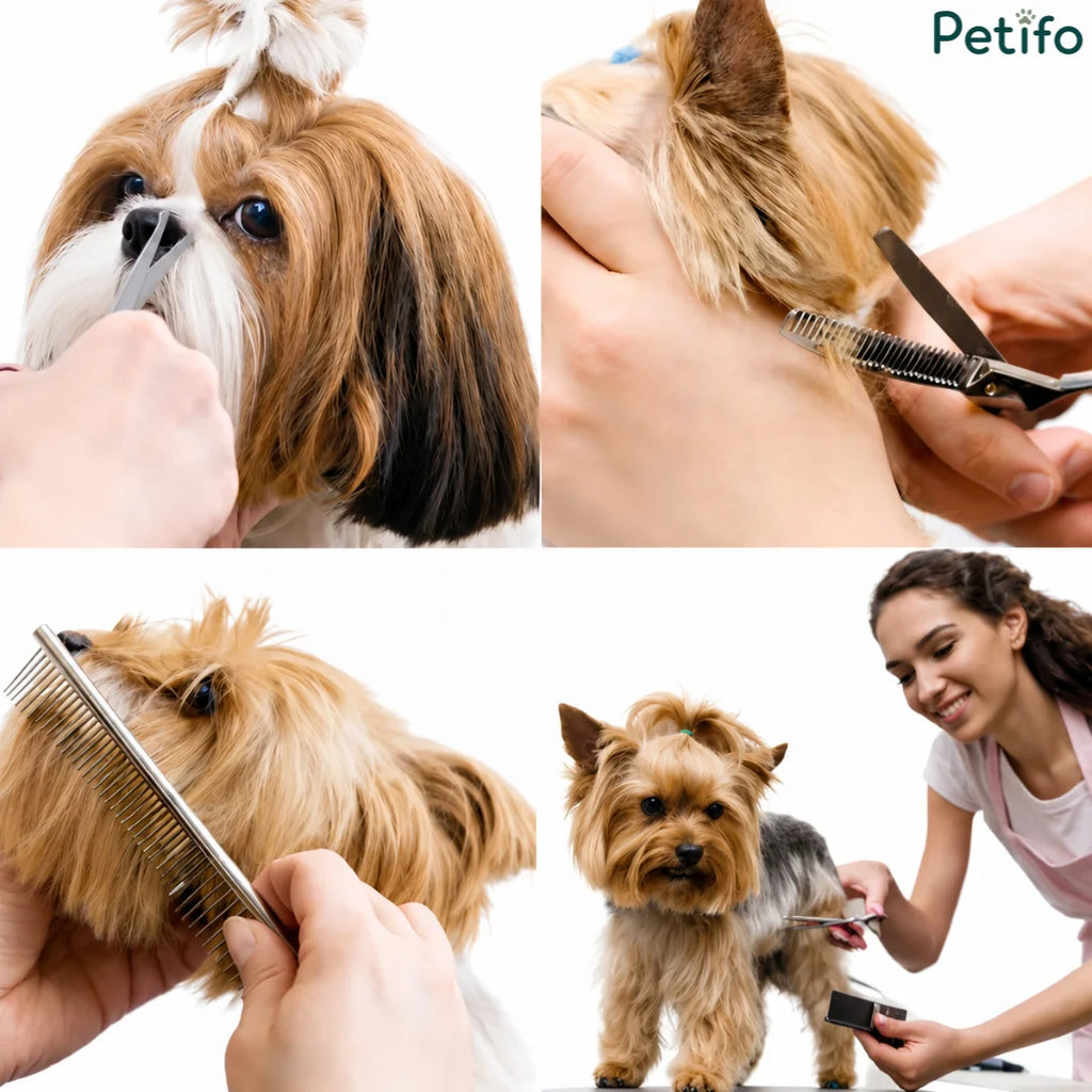 Multi-panel showcase demonstrating various professional grooming techniques on small dogs like Shih Tzus and Yorkshire Terriers.