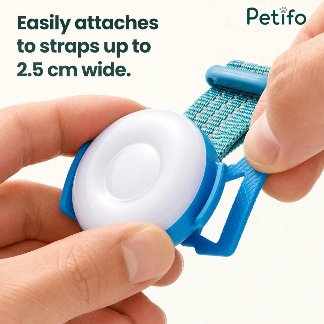 Hands attaching a blue Petifo LED safety light to a collar strap up to 2.5 cm wide.