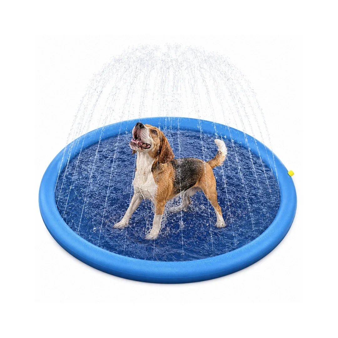 Beagle splashing and looking up happily inside an outdoor blue dog sprinkler pool.