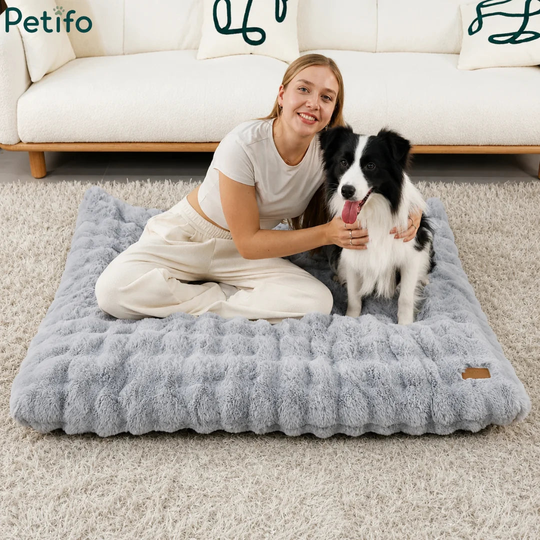 Happy woman sitting on a comfortable, grey plush Petifo dog bed with her Border Collie at home.