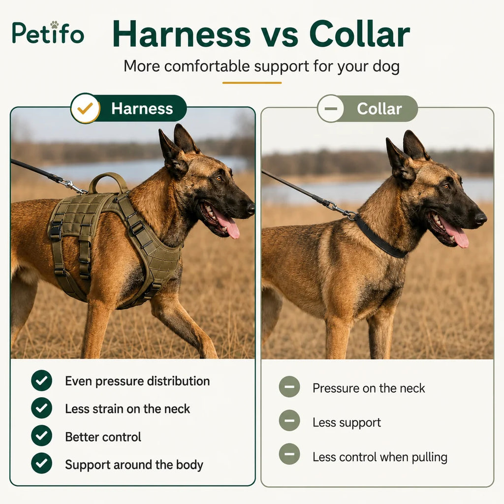 This comparison graphic highlights that a dog harness provides gentler support, even pressure distribution, and better control compared to a collar,