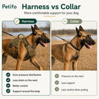 This comparison graphic highlights that a dog harness provides gentler support, even pressure distribution, and better control compared to a collar,