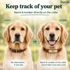 Before-and-after style infographic demonstrating how having a pet's name and phone number directly on the collar helps in recovery if the pet is lost.