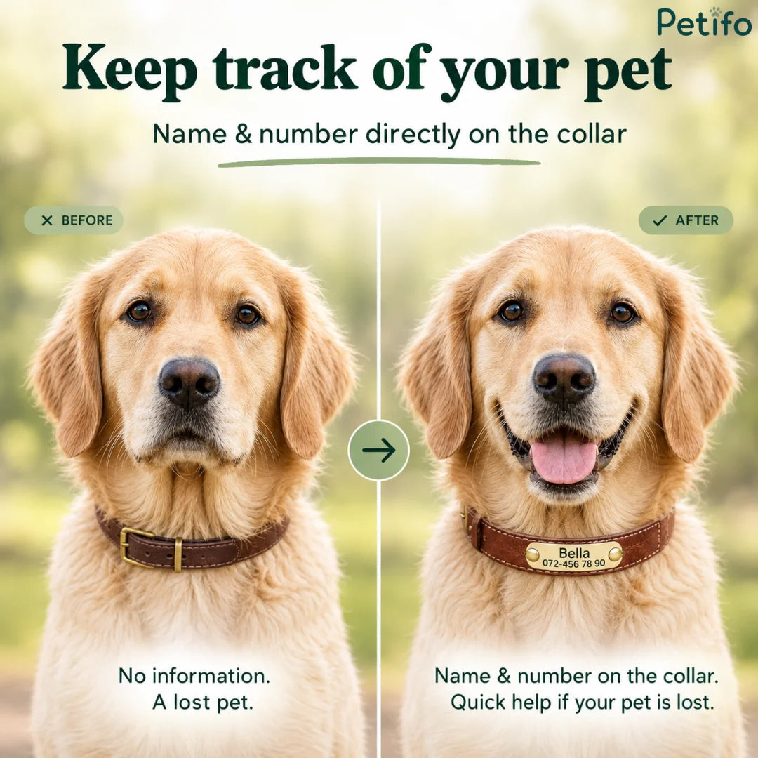Before-and-after style infographic demonstrating how having a pet's name and phone number directly on the collar helps in recovery if the pet is lost.
