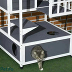 Close-up of a cat stepping out from the lower hideout of the wooden cat enclosure.