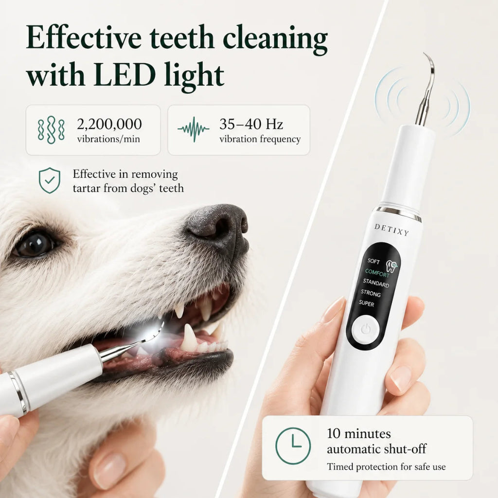 Detixy pet ultrasonic scaler with built-in LED light demonstrating high-frequency tartar removal on a dog.