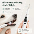 Detixy pet ultrasonic scaler with built-in LED light demonstrating high-frequency tartar removal on a dog.