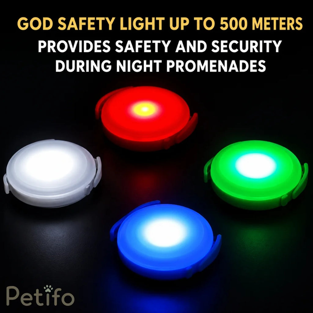 Highly visible Petifo dog safety lights glowing in white, red, blue, and green colors.