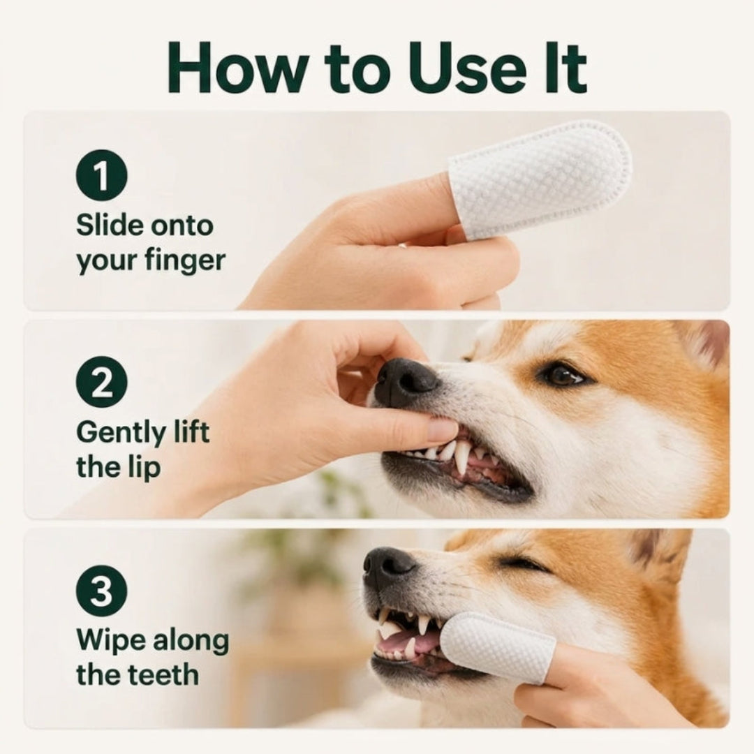 TailCare dental cleaner for dogs and cats with 50 dental wipes - Petifo