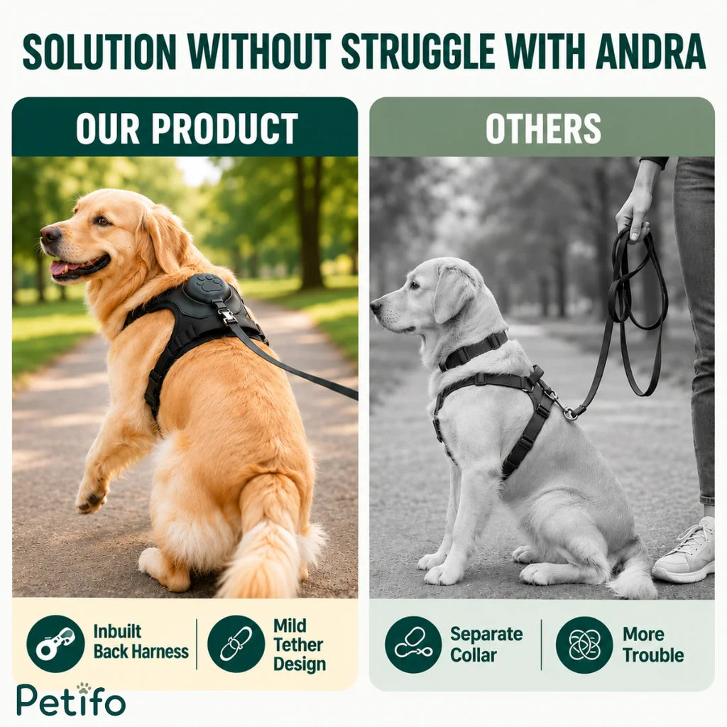 Product comparison infographic highlighting the ergonomic benefits of the inbuilt back harness design against standard collars and leashes.