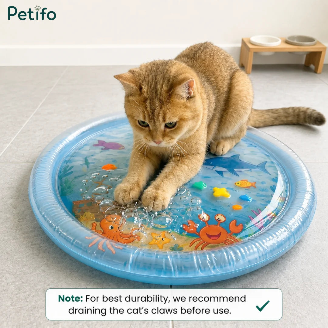 Golden cat playing on an interactive water mat with a claw care recommendation note.
