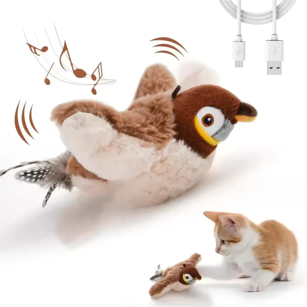 A promotional image of the Petifo interactive plush bird cat toy with musical notes and motion lines, shown alongside a USB charging cable and an orange-and-white kitten playing with the toy.