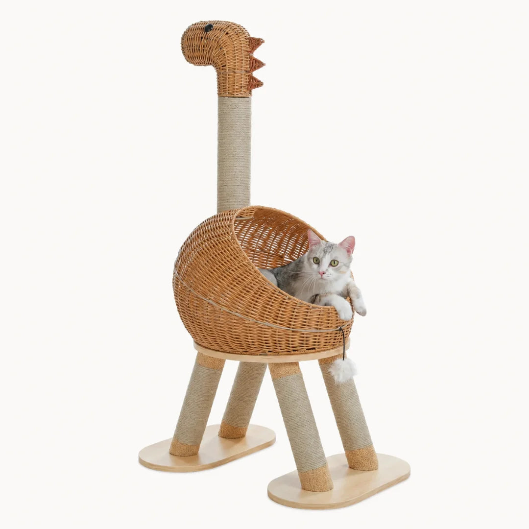 Isolated studio shot of a unique dinosaur-design cat bed with a comfortable rattan resting nook.