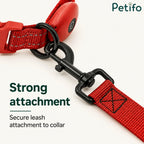 LED Light-Up Lead - Petifo