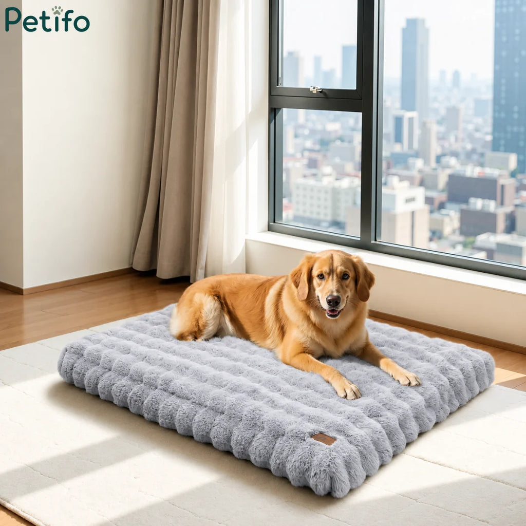 Large golden retriever relaxing on a grey Petifo plush dog bed in a bright modern living room.