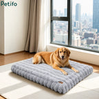 Large golden retriever relaxing on a grey Petifo plush dog bed in a bright modern living room.