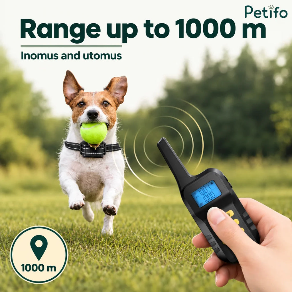 Jack Russell Terrier sprinting across a grassy outdoor lawn while wearing a long-range electronic training collar.