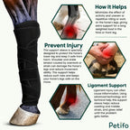 Informational infographic explaining how horse support wraps help prevent injury, minimize strain, and offer ligament support.