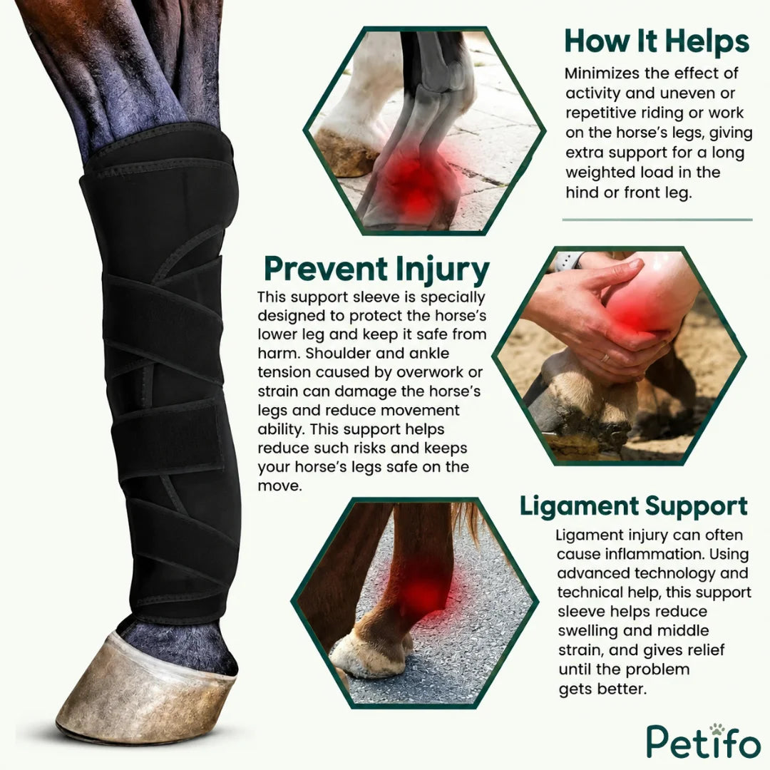 Informational infographic explaining how horse support wraps help prevent injury, minimize strain, and offer ligament support.