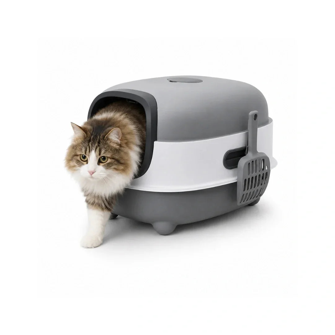 Fluffy brown and white cat walking out of a modern grey and white hooded cat litter box.