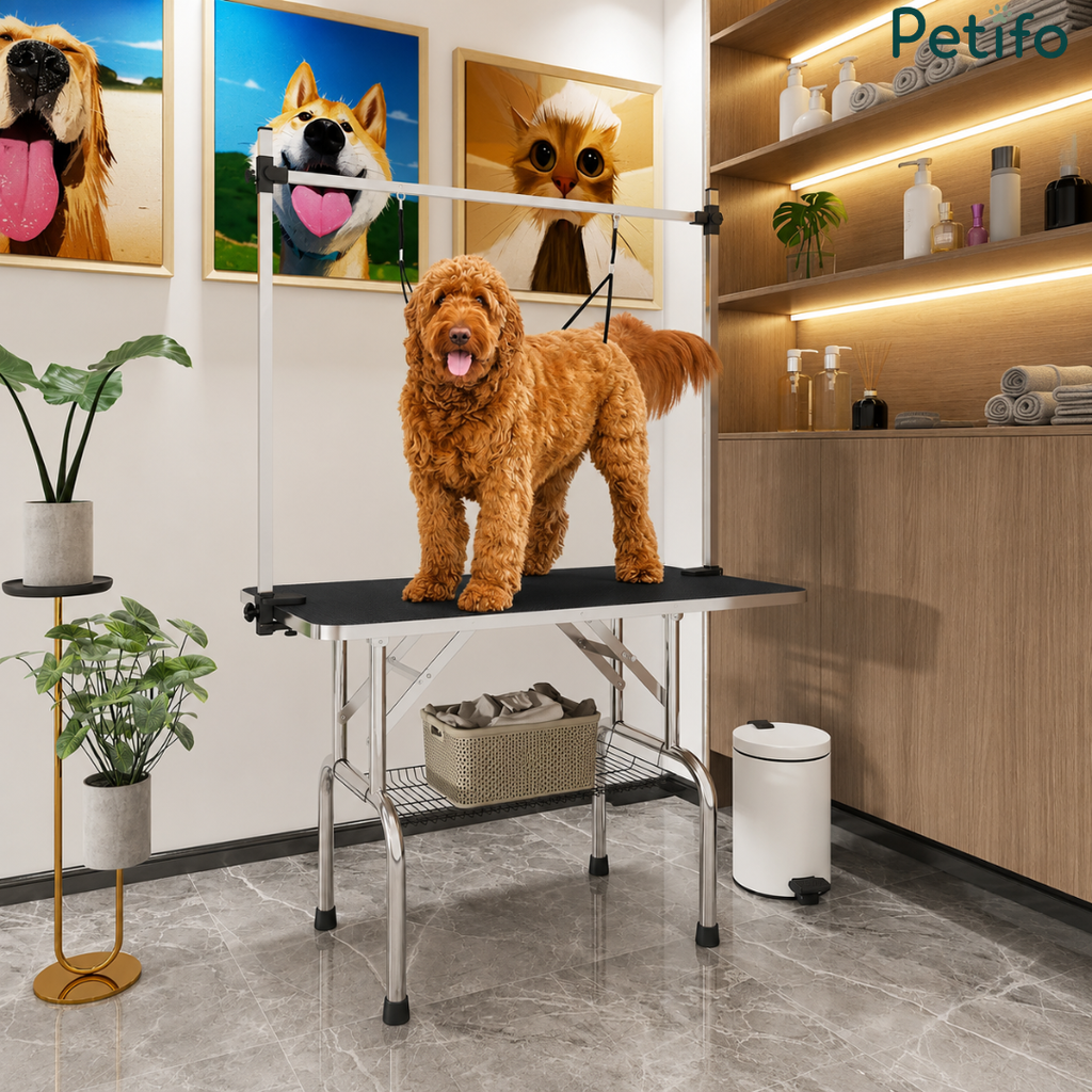 Modern, well-equipped pet grooming station featuring a stable grooming table with an overhead arm in a stylish interior.