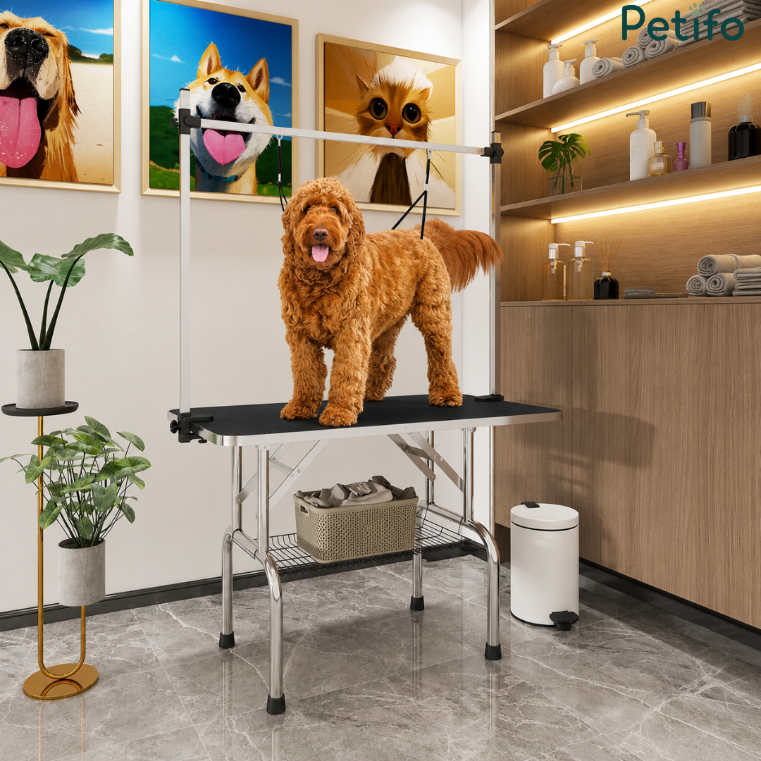 Modern, well-equipped pet grooming station featuring a stable grooming table with an overhead arm in a stylish interior.