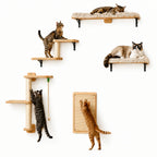 Multiple cats interacting with a Petifo wall-mounted cat climbing set featuring shelves and a scratching mat.