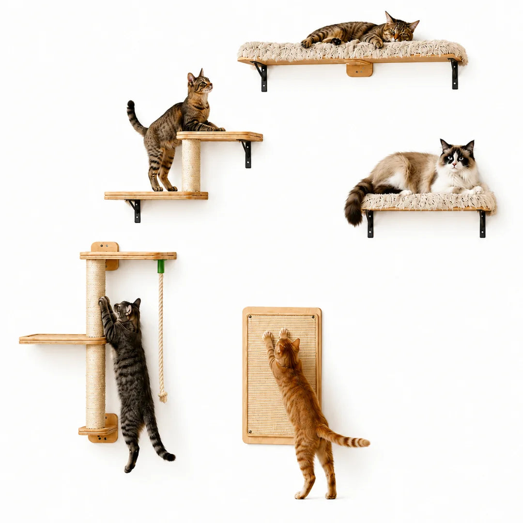 Multiple cats interacting with a Petifo wall-mounted cat climbing set featuring shelves and a scratching mat.