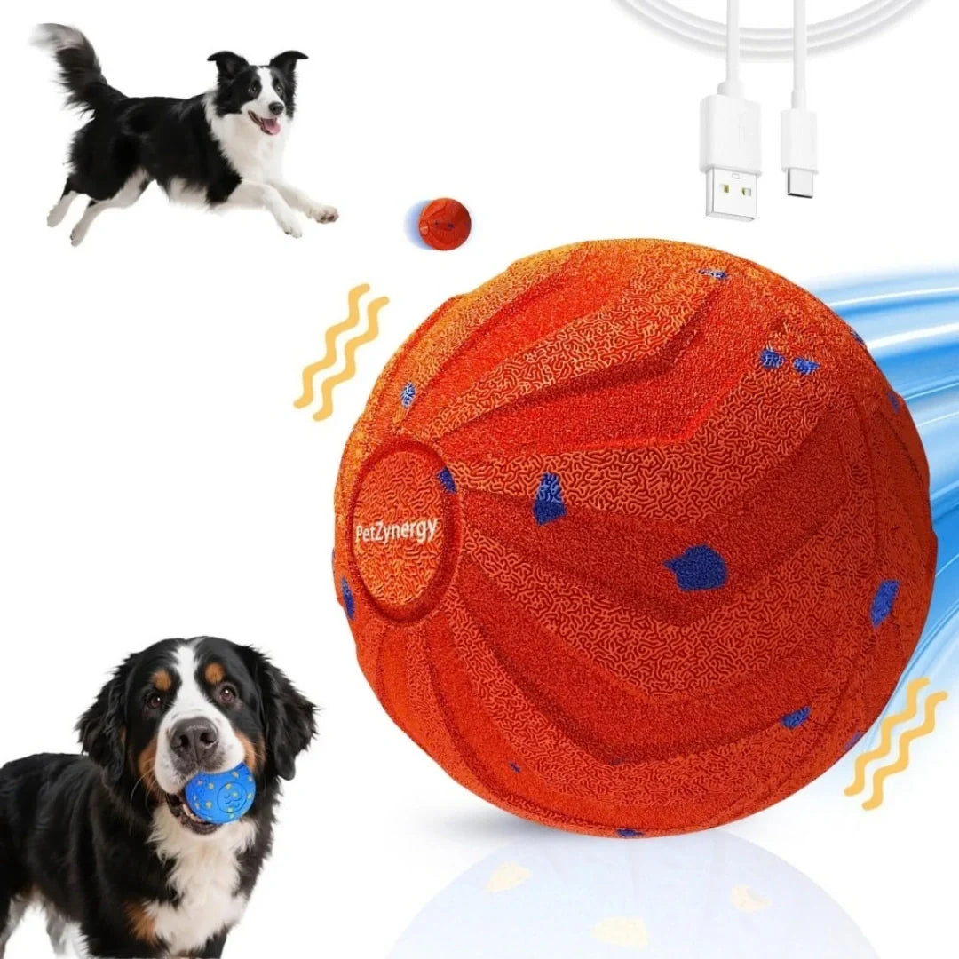 Promotional graphic featuring an orange interactive dog ball, charging cable, and various dogs playing.