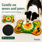 PetSniff Activity Mat - Petifo