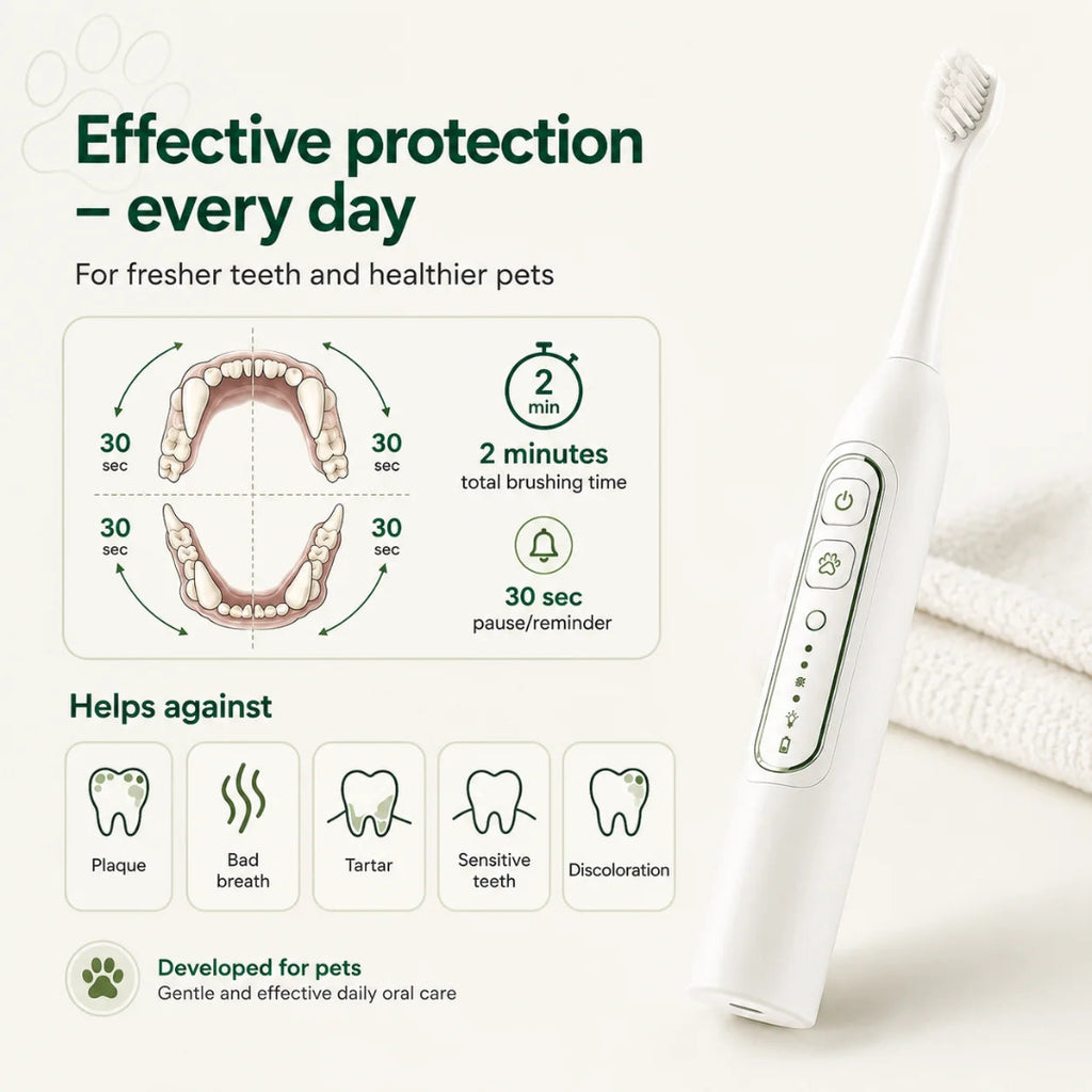 Infographic demonstrating the 2-minute timer and plaque-fighting benefits of an electric toothbrush for dogs and cats.