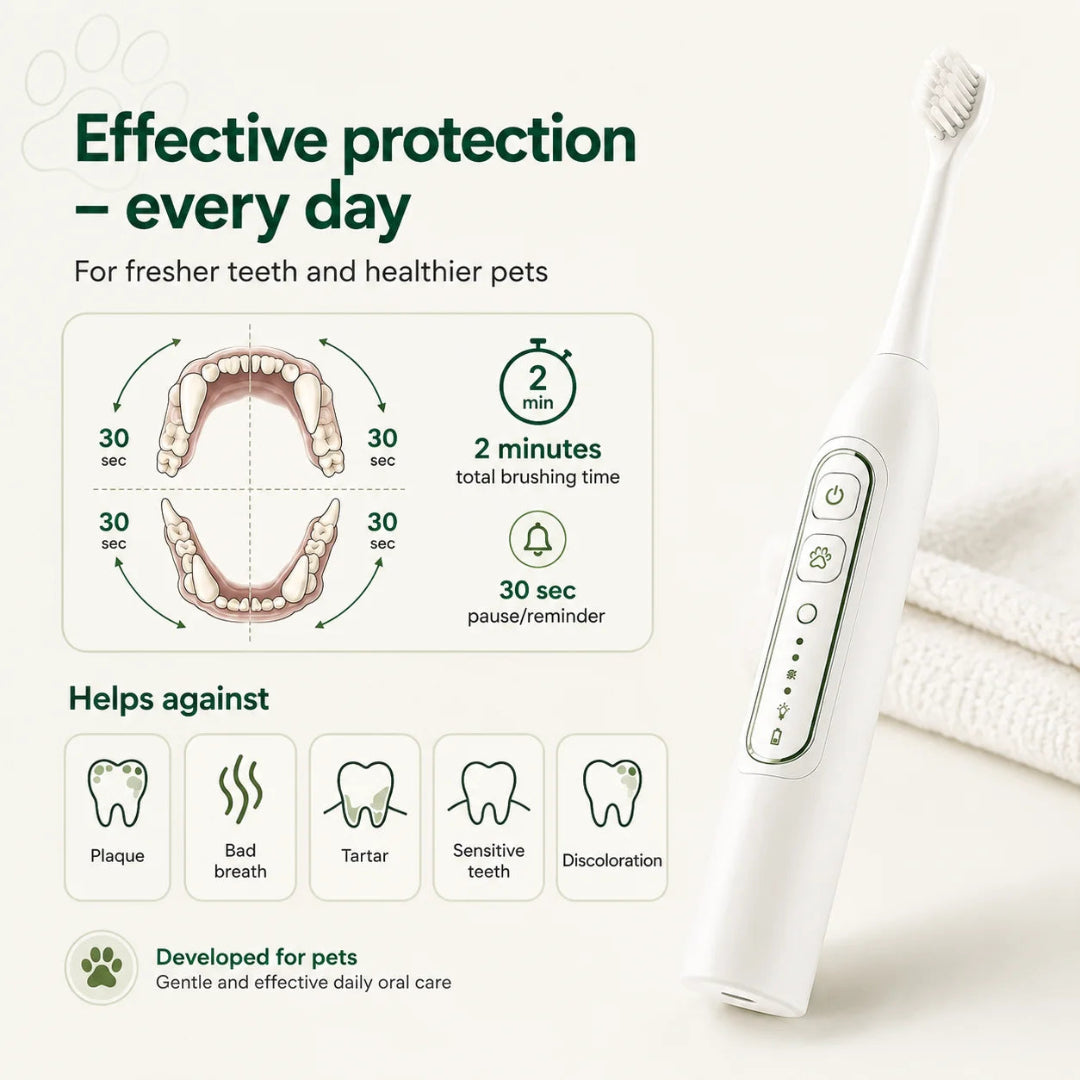 Infographic demonstrating the 2-minute timer and plaque-fighting benefits of an electric toothbrush for dogs and cats.