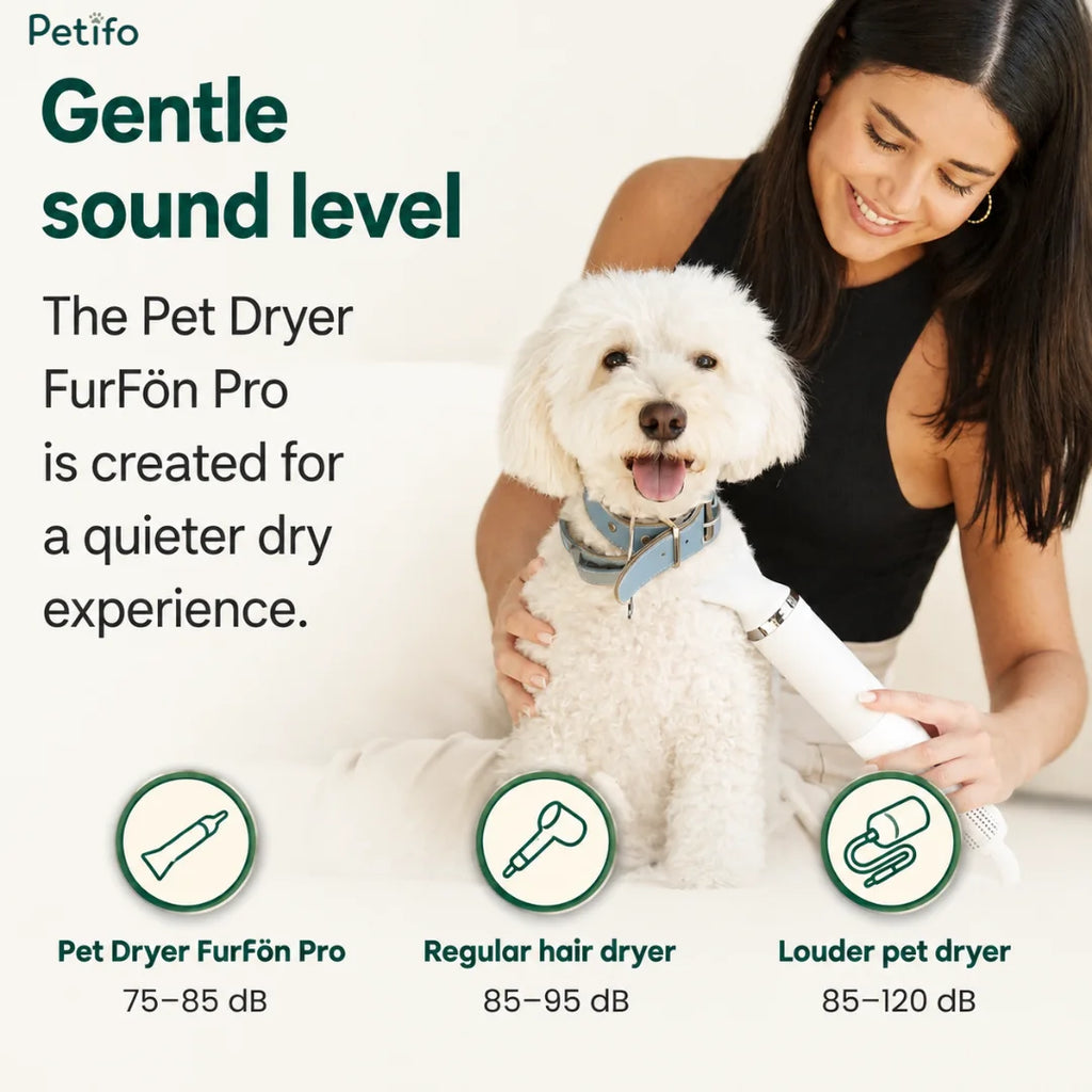 Petifo FurFön Pro pet dryer showing a gentle sound level of 75-85 dB for a quieter drying experience with a white poodle.