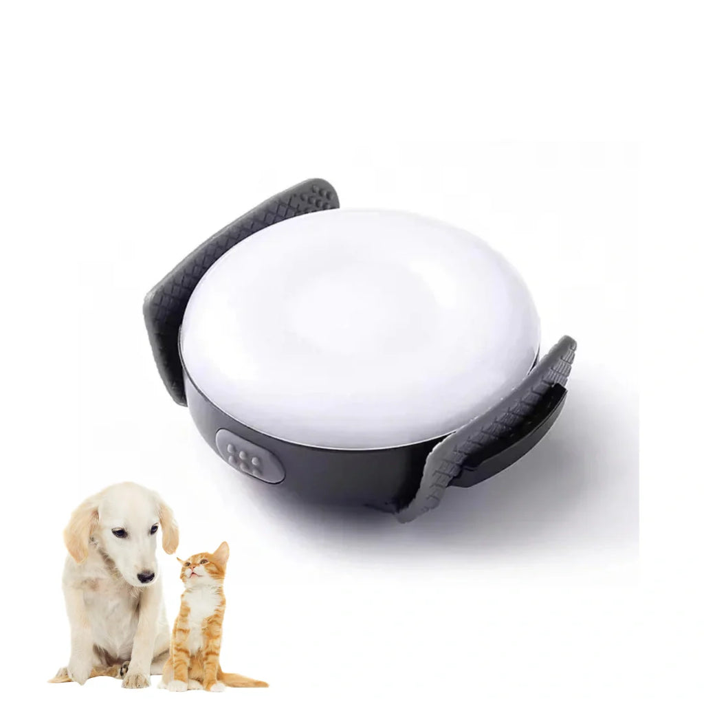 Safety Light for Pets Product