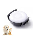 Safety Light for Pets Product