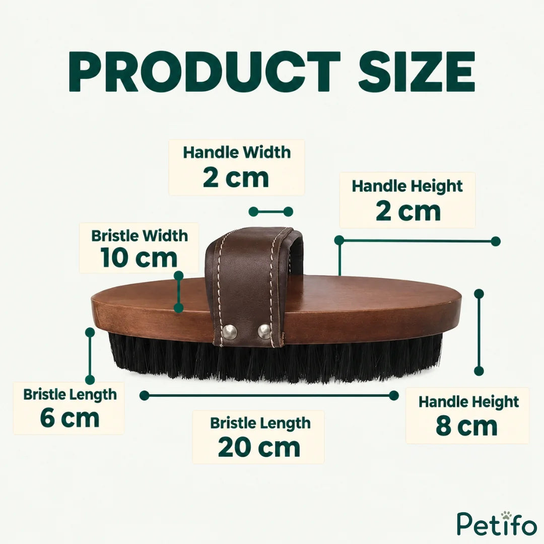 Product dimension guide detailing measurements for the wooden horse grooming brush handle and bristles.