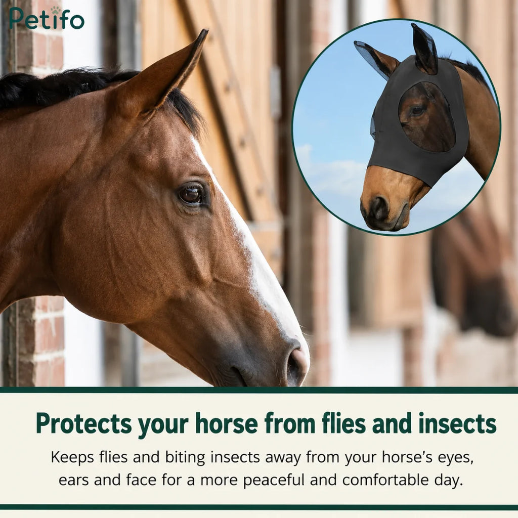 Close-up of a horse wearing a protective black fly mask near a stable entrance.
