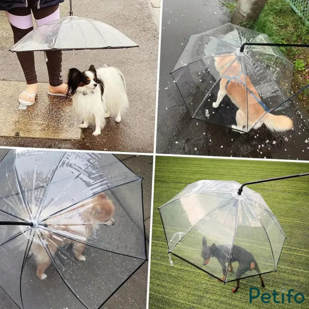 A collage of four different dogs enjoying rainy walks outdoors protected underneath clear handheld pet umbrellas.