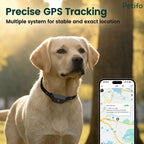 Labrador retriever wearing a GPS tracker collar alongside a smartphone showing real-time location tracking.