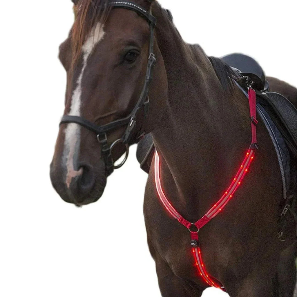 Brown horse wearing a red LED glowing breastplate for night riding.